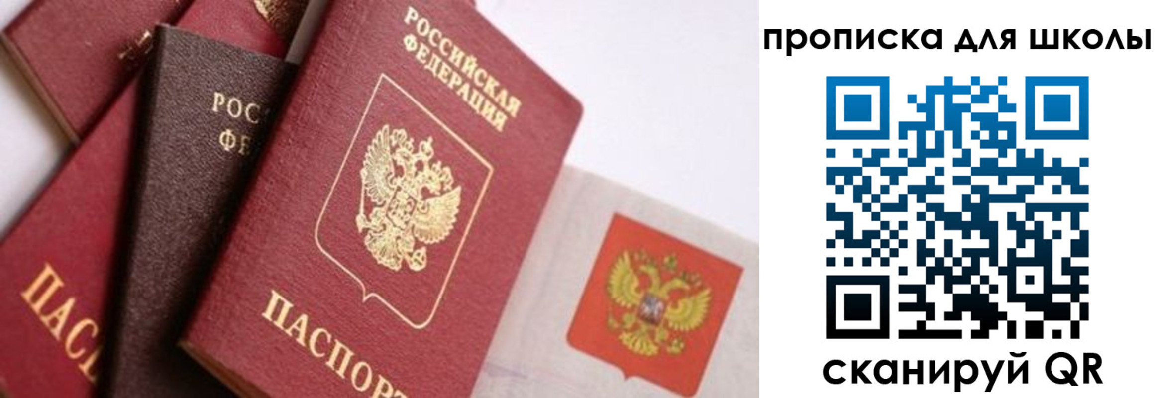 прописка поиск в Пласте